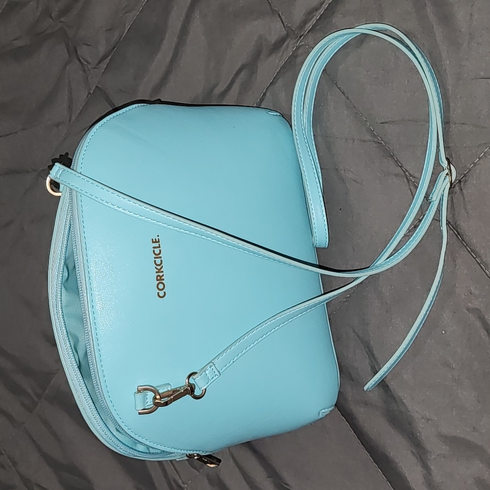 Cockcicle lunch bag